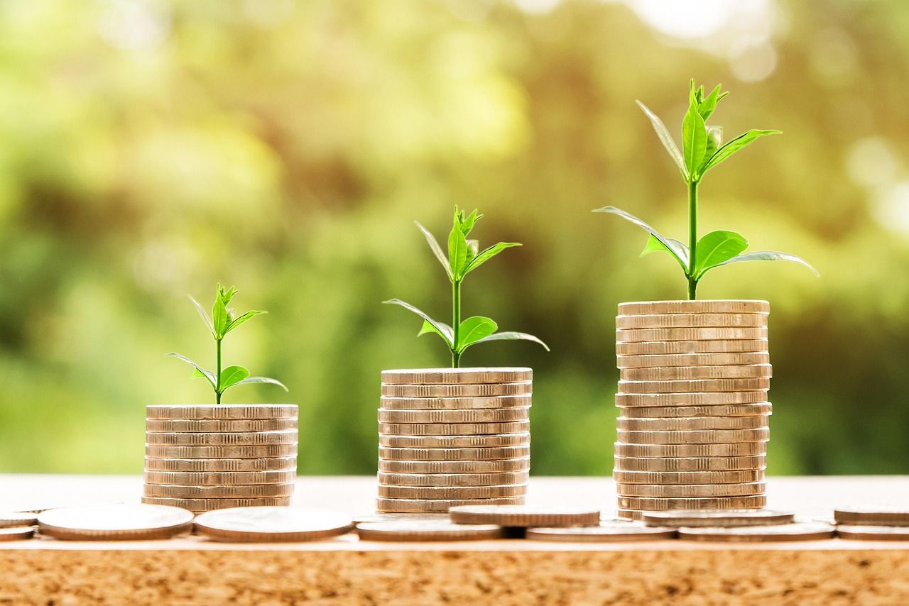 erfahren sie alles über investitionen: strategien, tipps und trends, um ihr vermögen zu vermehren und finanziellen erfolg zu erzielen.
