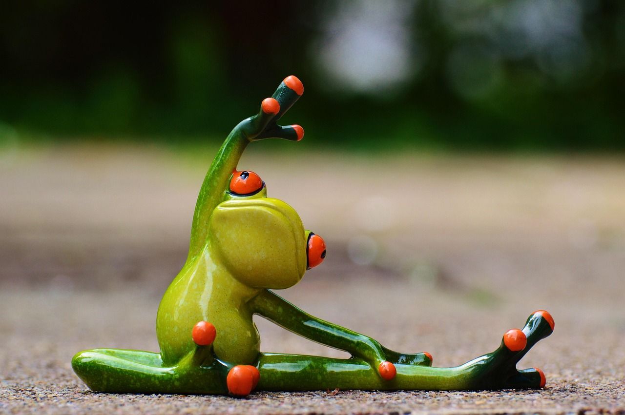 entdecken sie die besten fitness-tipps, trainingseinheiten und ernährungspläne, um ihre gesundheitsziele zu erreichen. verbessern sie ihre fitness und ihr wohlbefinden mit unseren umfassenden ressourcen!