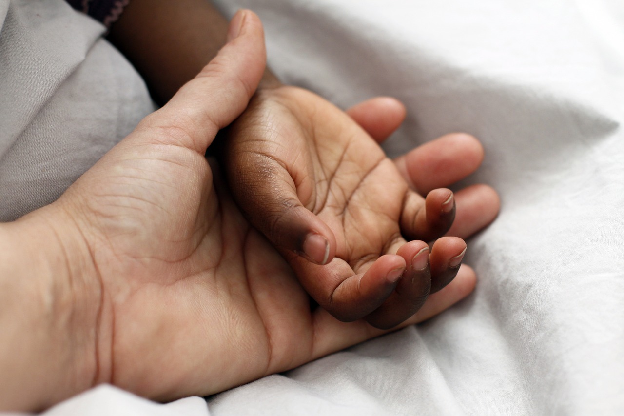 entdecken sie die freude der haustieradoption! finden sie ihr neues pelziges familienmitglied und schenken sie einem tier ein liebevolles zuhause. erfahren sie mehr über den adoptionsprozess und die verfügbaren tiere.