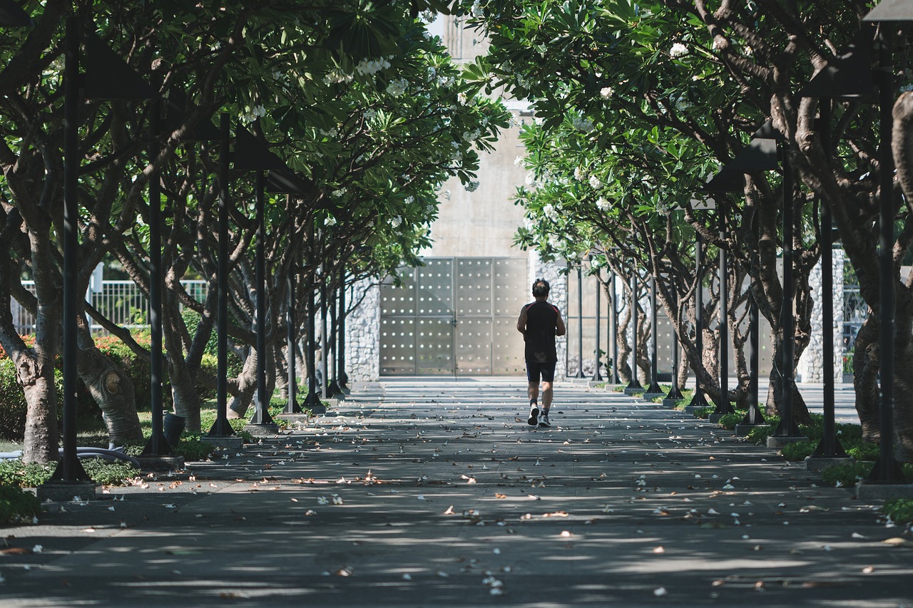 entdecken sie effektive fitness-tipps, um ihre gesundheit zu verbessern, ihre fitnessziele zu erreichen und einen aktiven lebensstil zu fördern. von workout-routinen bis hin zu ernährungsempfehlungen - hier finden sie alles, was sie für ihre fitnessreise benötigen.