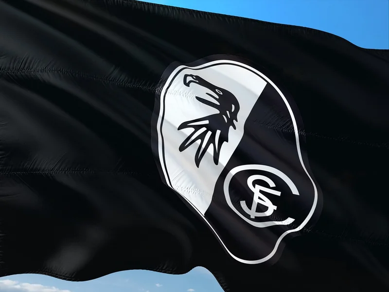 Wie viel verdient ein Bundesliga-Schiedsrichter?