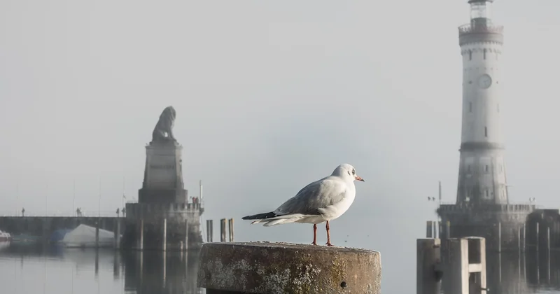Was Sie am Leuchtturm Lindau erwartet