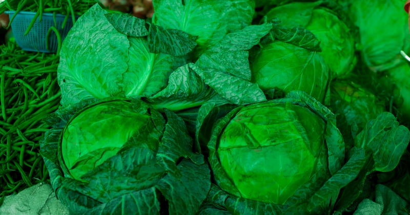 Vitamin B6 Lebensmittel: Die 15 besten Quellen für deine Energie