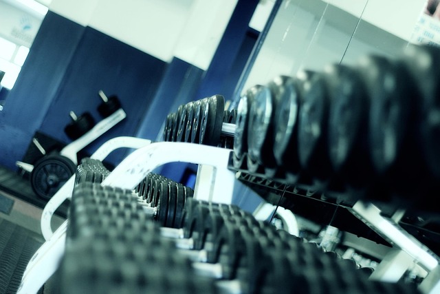 Fitness für Anfänger: Tipps zur Verbesserung Ihrer Gesundheit