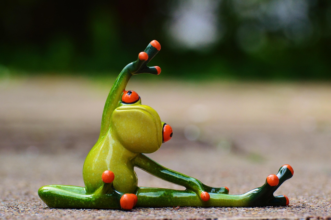 entdecken sie die besten tipps und übungen für ihre körperliche fitness. verbessern sie ihre gesundheit, steigern sie ihre ausdauer und erreichen sie ihre fitnessziele mit unseren effektiven strategien!