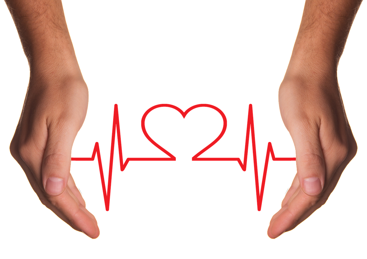 entdecken sie umfassende gesundheitsversorgung für haustiere! unsere dienstleistungen für die tierärztliche betreuung sorgen dafür, dass ihr geliebtes haustier gesund und glücklich bleibt. vertrauen sie auf unsere expertise für die beste pflege.