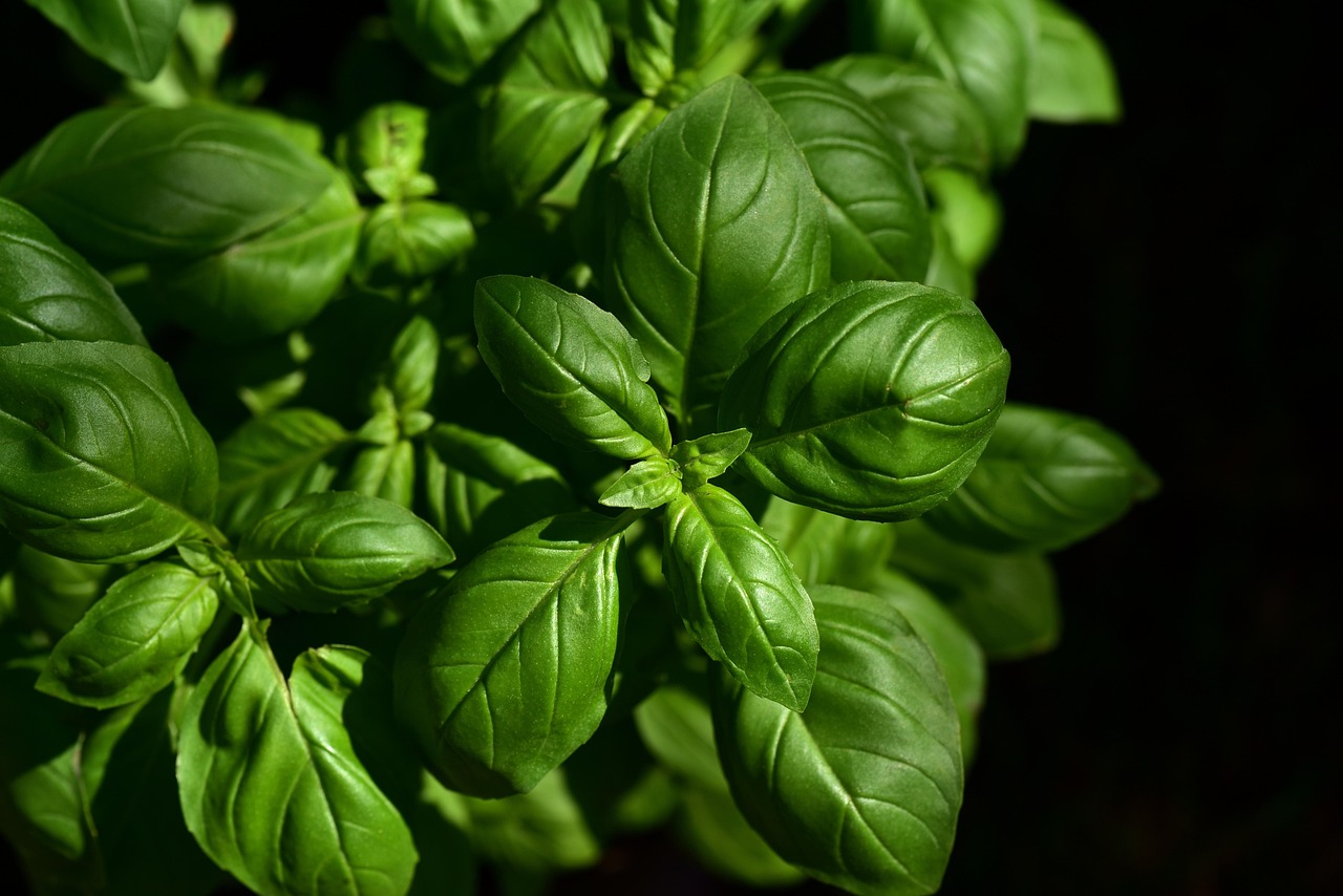 entdecken sie die faszinierende welt der kulinarischen künste. von traditionellen rezepten bis zu modernen kochtechniken – hier finden sie inspiration und tipps, um ihre kochfähigkeiten zu verbessern und köstliche gerichte zuzubereiten.