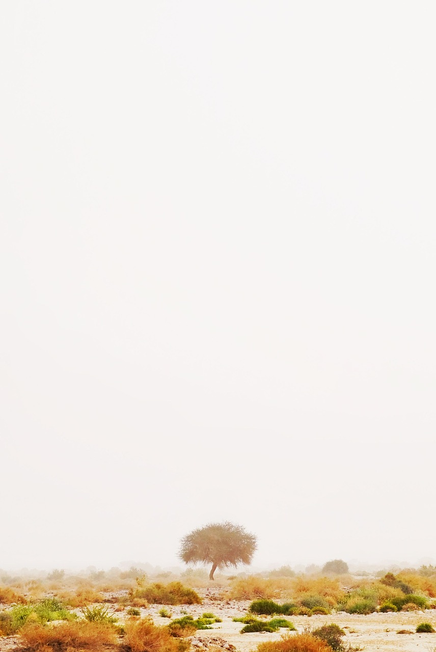 entdecken sie die essenz des minimalismus: weniger ist mehr. erleben sie klare formen, einfache designs und ein bewusstes leben mit minimalistischen prinzipien.